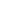 RAM 2GB