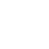 درگاه LAN 100